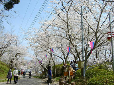 SANY0056.jpg