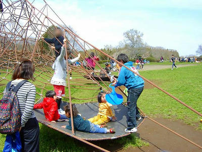 SANY0016.jpg