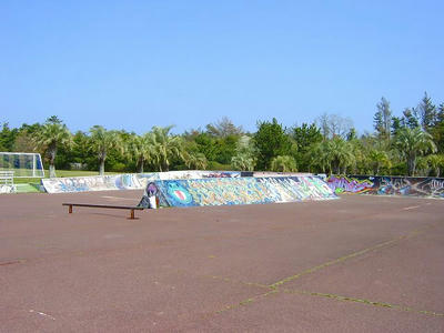 SANY0203.jpg