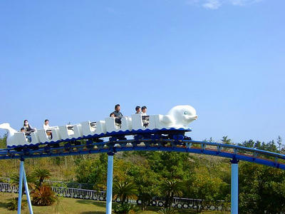 SANY0217.jpg