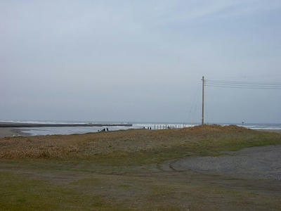 SANY0291.jpg