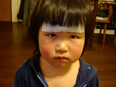 SANY0329.jpg