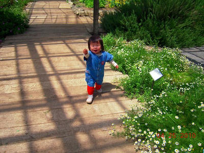 DSCN0490.jpg