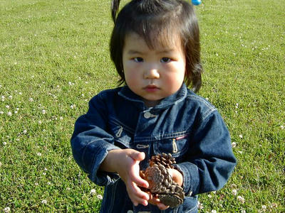 SANY0739.jpg