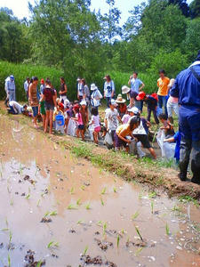 NEC_0053.jpg