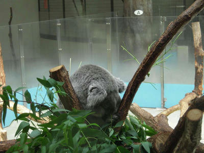 DSCN0630.jpg