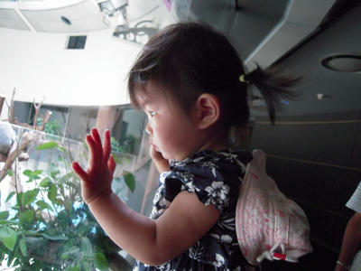 DSCN0631.jpg