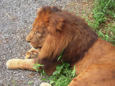 DSCN0673.jpg