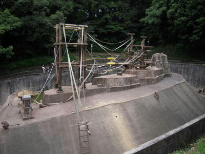 DSCN0691.jpg