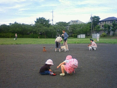 NEC_0021.JPG