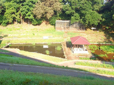 DSCF0272.jpg