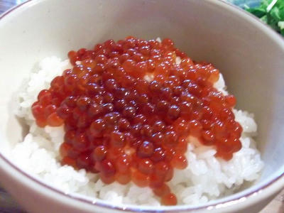 DSCF0580.jpg