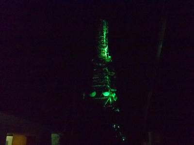 DSCF2240.jpg