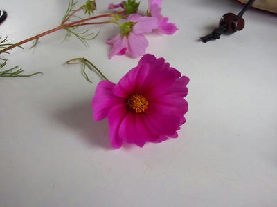 DSCF2708.jpg