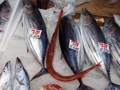 DSCF2747.jpg