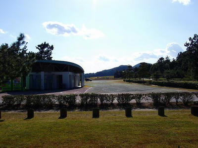DSCF2823.jpg