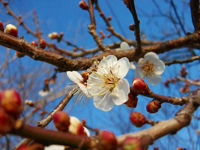 DSCF0612.jpg
