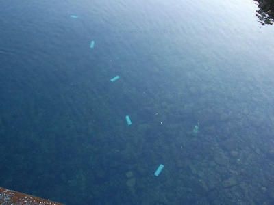 DSCF2906.jpg