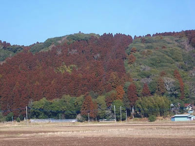 DSCF1119.jpg