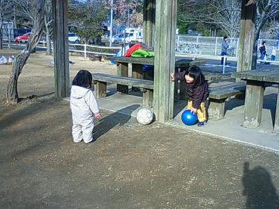 NEC_0114.JPG