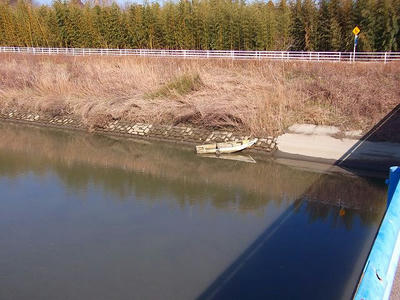 DSCF1431.jpg