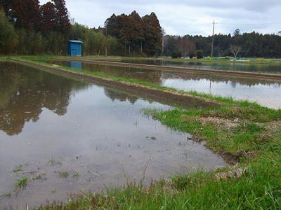 DSCF1769.jpg