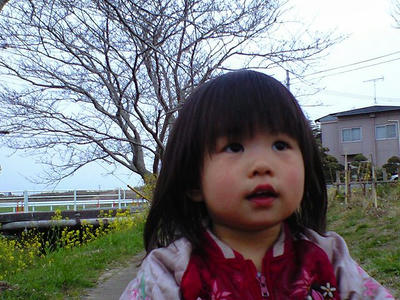 CA390025.jpg