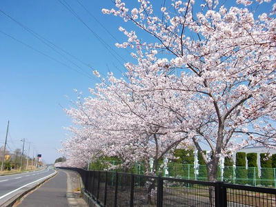 DSCF1953.jpg