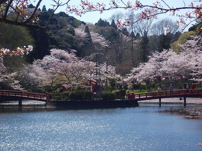 DSCF2002.jpg