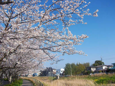 DSCF2078.jpg