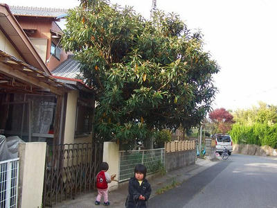 DSCF2192.jpg