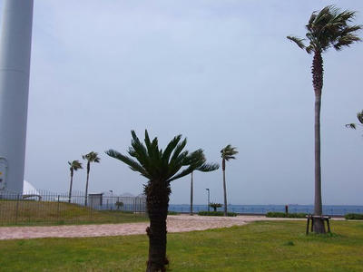 DSCF2337.jpg
