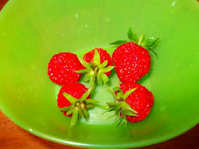 DSCF4725.jpg