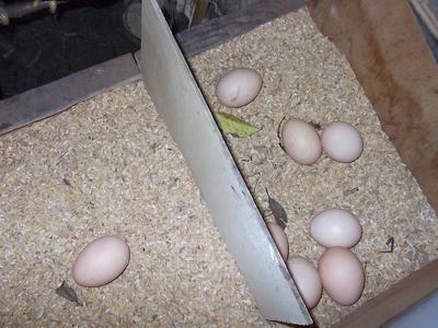 DSCF4729.jpg