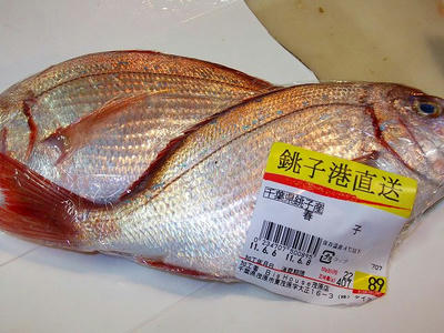 DSCF4876.jpg