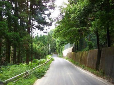 DSCF5659.jpg