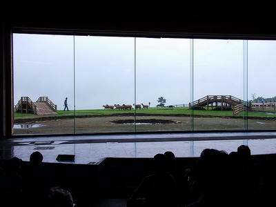 DSCF6029.jpg