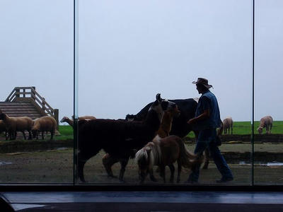 DSCF6044.jpg