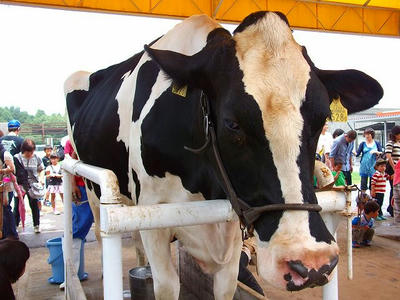 DSCF6087.jpg