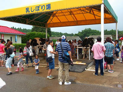 DSCF6093.jpg
