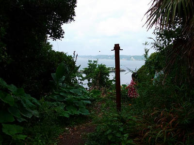 DSCF6148.jpg