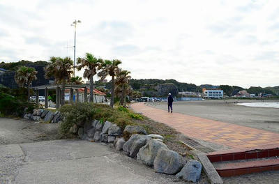 DSC_0491.jpg
