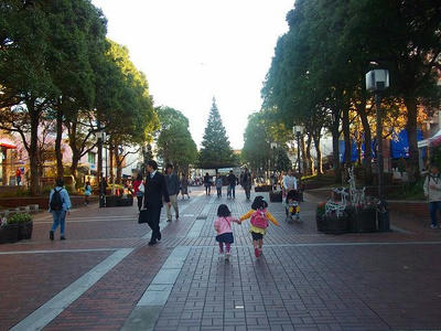 DSCF8282.jpg