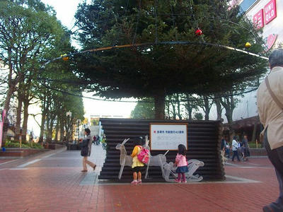 DSCF8287.jpg
