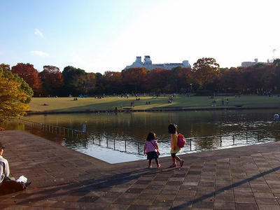 DSCF8302.jpg