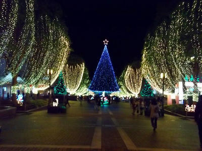 DSCF8473.jpg