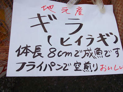 DSCF9408.jpg