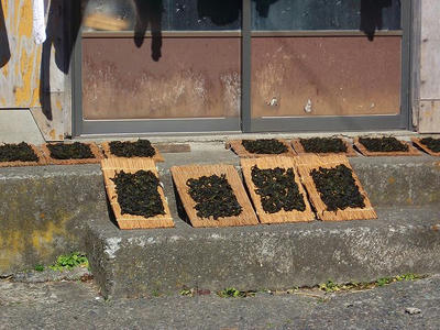 DSCF9423.jpg