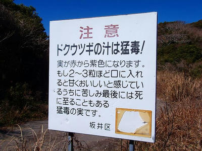 DSCF9425.jpg