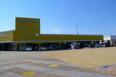 DSC_3703.jpg